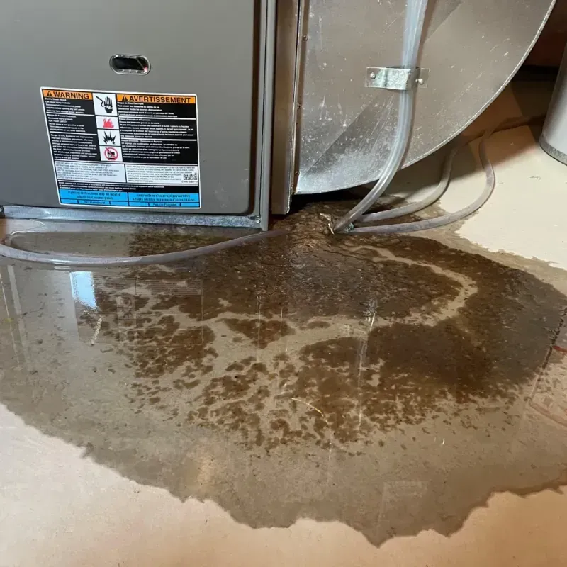 Appliance Leak Cleanup in Wedgefield, SC